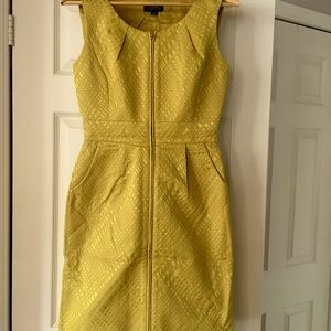 Tahari structured shift dress in yellow, size 2